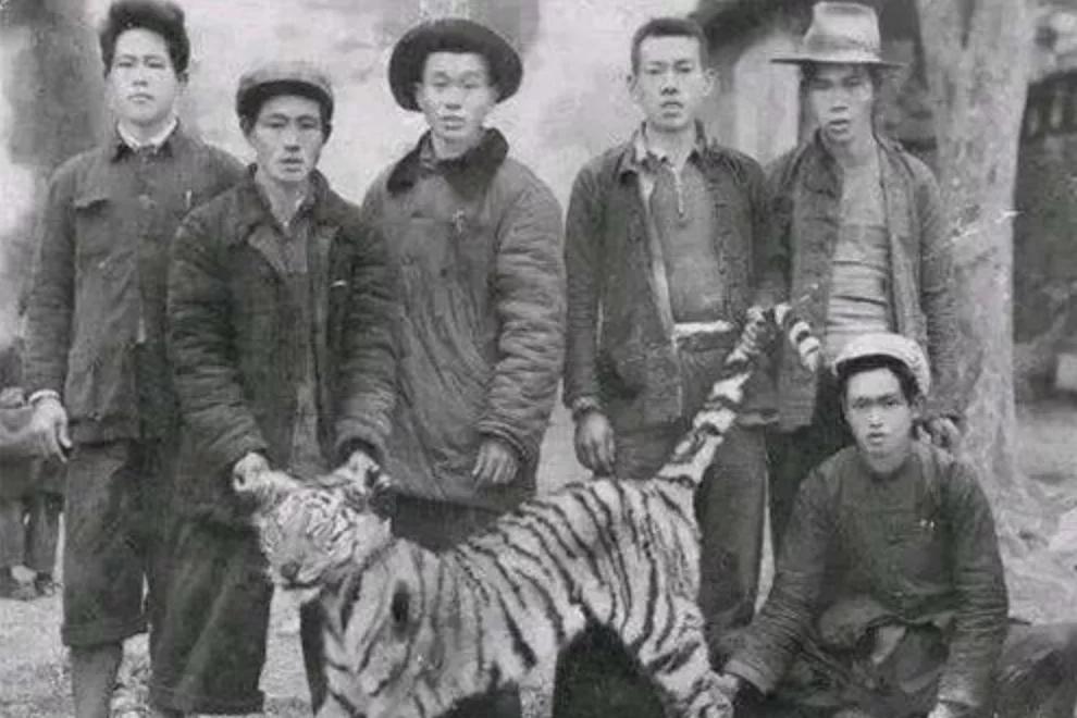 揭秘仑王老成虎队中的传奇人物——刘土,揭秘仑王老成虎队传奇人物,刘土的传奇故事