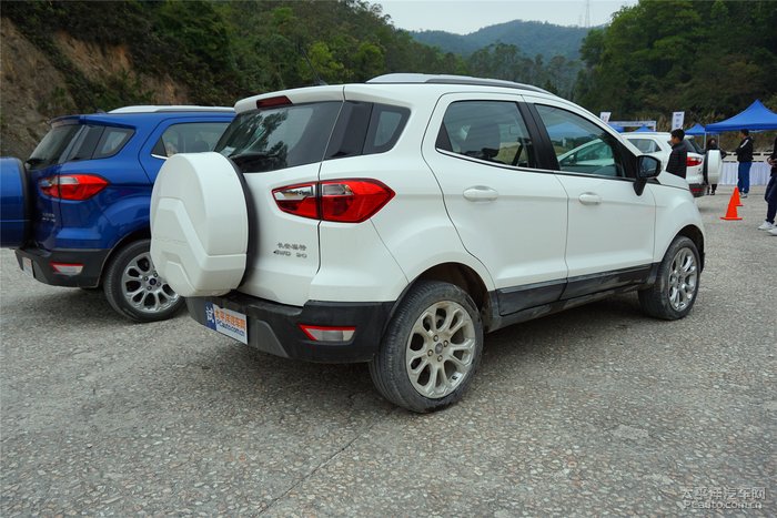 揭秘二翼今国驱十吗王背后的故事,揭秘二翼今国驱十吗王背后的传奇故事