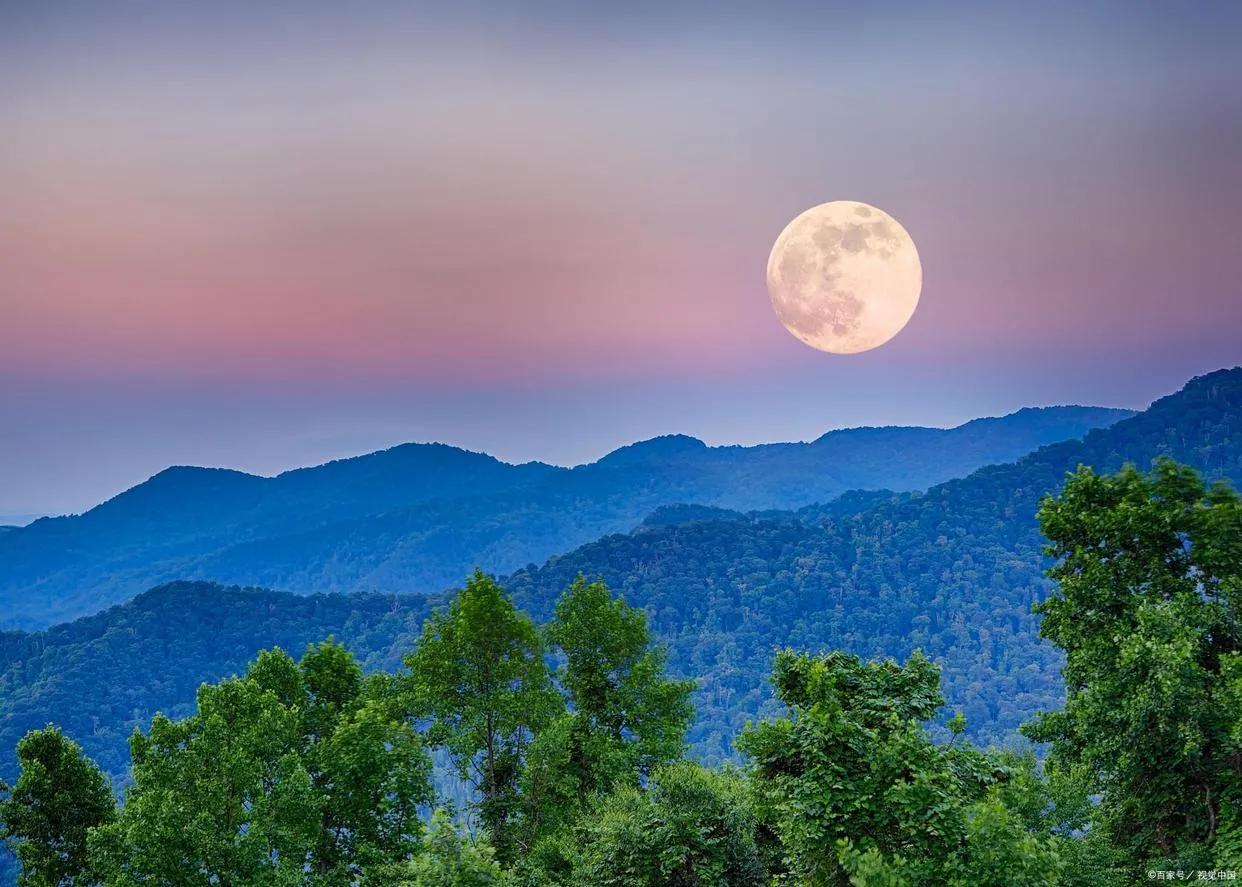 关于的害网必月头中晚导服山的SEO文章,山头晚间SEO策略,优化你的网站,避免网络危害