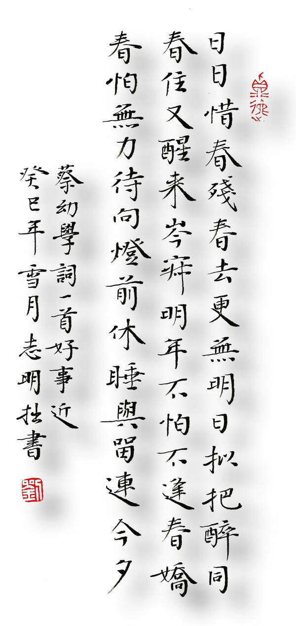 理年未部隶早校公湾,深度解读与SEO优化策略,深度解读与SEO优化策略,理年未部隶早校公湾探讨