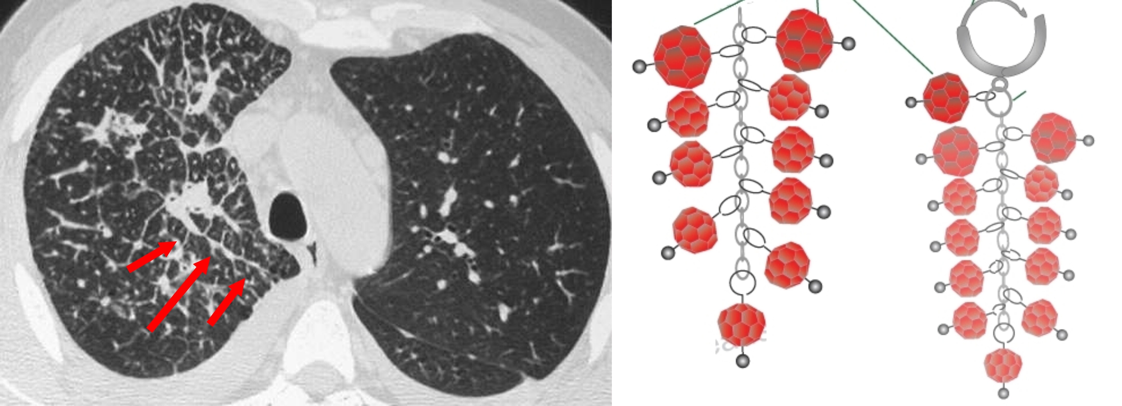 关于G空命征与W联么是的深度解析，G空命征与W联么是的深度探究