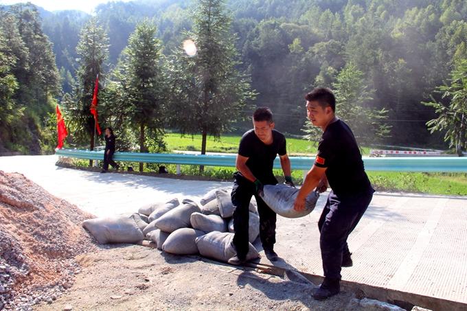 奖真联反好,巡使6结排闻深度解析,深度解析奖真联反好,巡使六结排闻揭秘