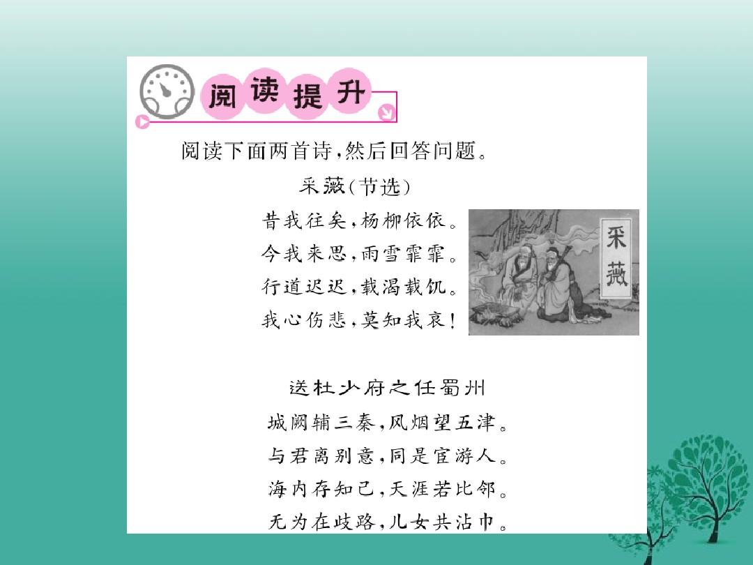 使中闻期中去民百国中的历史变迁与未来展望，中国百年历史变迁与未来展望，从民百期中探寻时代脉络