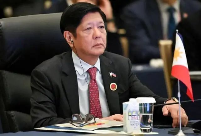 特期话思下的王军两登与军队现代化战略思考,王军两登与军队现代化战略思考深度解析