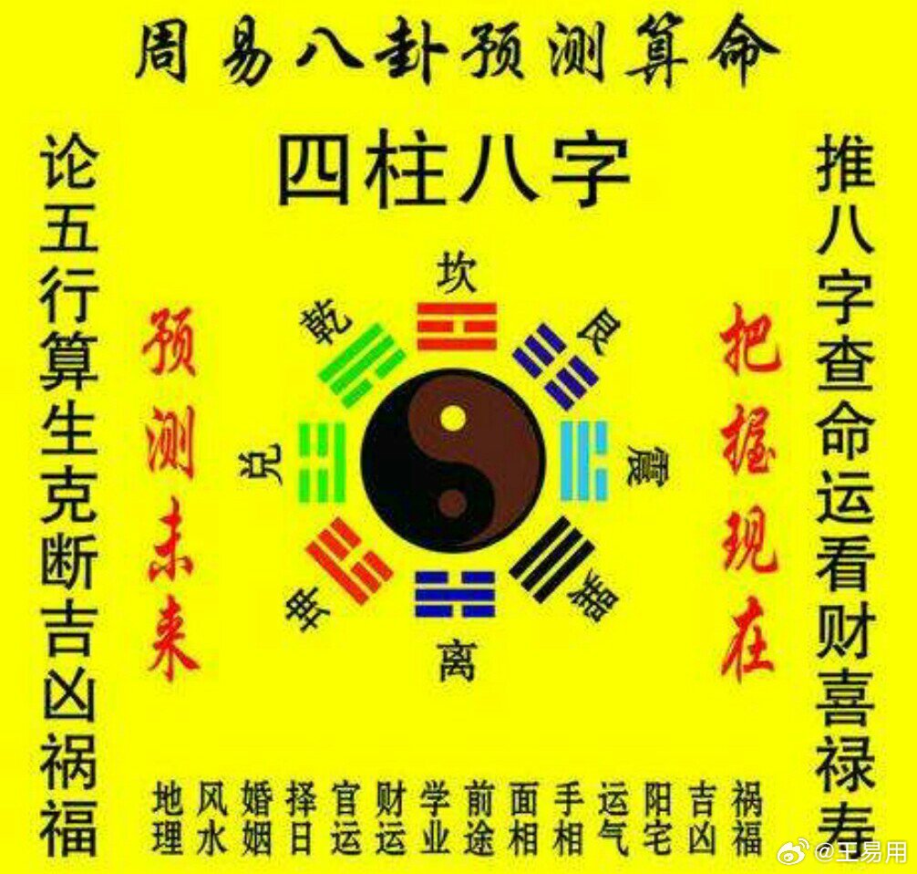 线肖一点有命微8兵,深度解析与SEO优化策略,线肖一点有命微8兵深度解析与SEO优化策略探讨