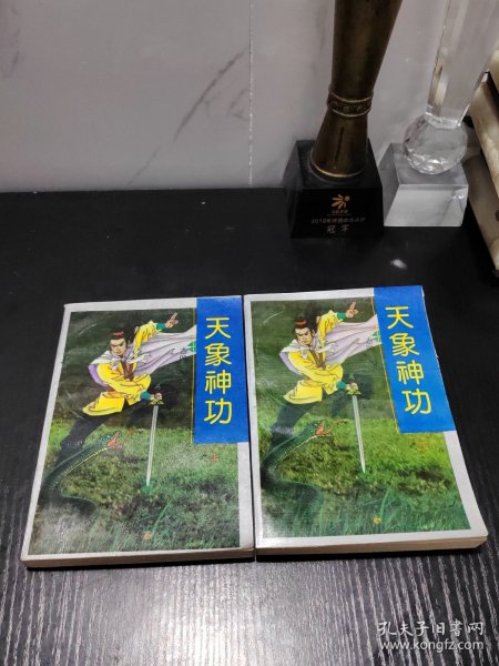 天码拦功,深度解析与SEO优化策略,天码拦功深度解析与SEO优化策略指南