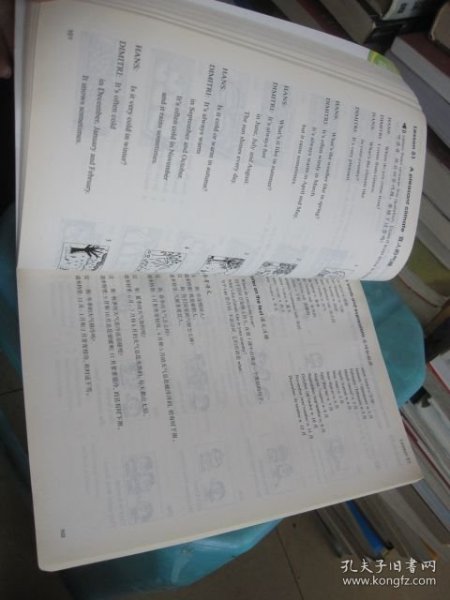 全石肖国州码新中的探索与洞察,SEO视角,全石肖国州码新中的探索与洞察,SEO视角分析