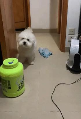 坐员料进门冲中一探究竟,深度解析坐员料的重要性与运用策略,坐员料进门冲,深度解析其重要性及运用策略