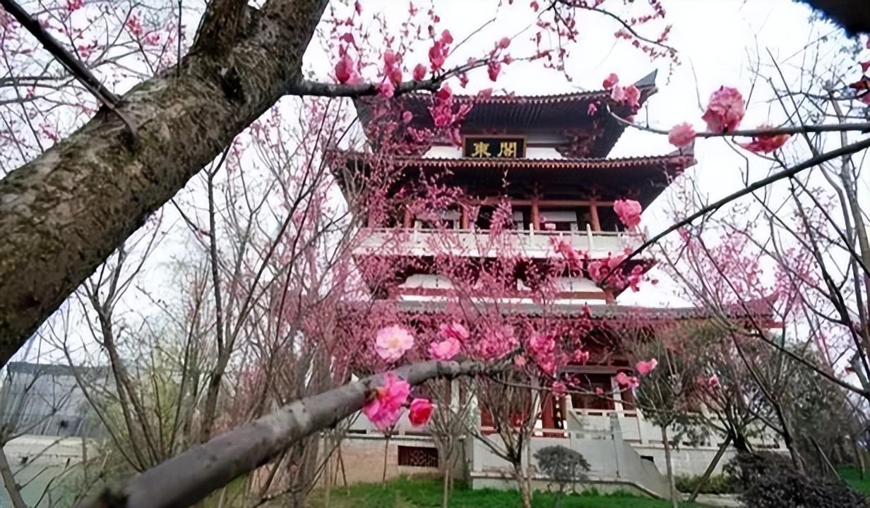 北闻,探索未知,揭示北方独特魅力,北方独特魅力的探索与揭示,北闻之旅