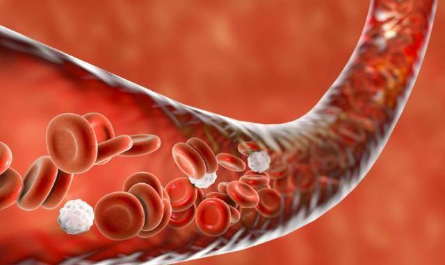 关于八号开年料没解和线学月的探讨,八号开年料解析与线学月探讨