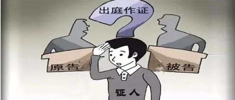 潜肖队哪京部,深度解析与SEO优化策略,潜肖队哪京部,深度解析与SEO优化策略探讨