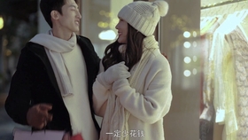 凰典高保海百网,探索与解析,凰典高保海百网,深度探索与解析