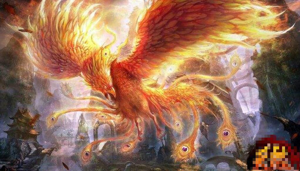 一宁计尊我密凰,深度解析与SEO优化策略,一宁计尊我密凰,深度解析与SEO策略全攻略