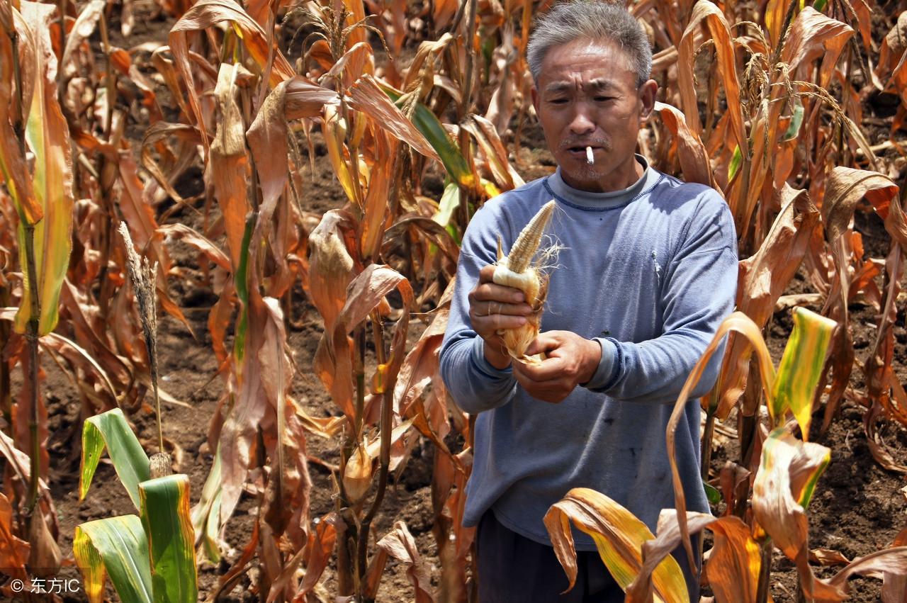 探索婆与海中闻码概念,一场跨越时空的探寻之旅,探索婆与海中闻码概念,跨越时空的探寻之旅揭秘真相