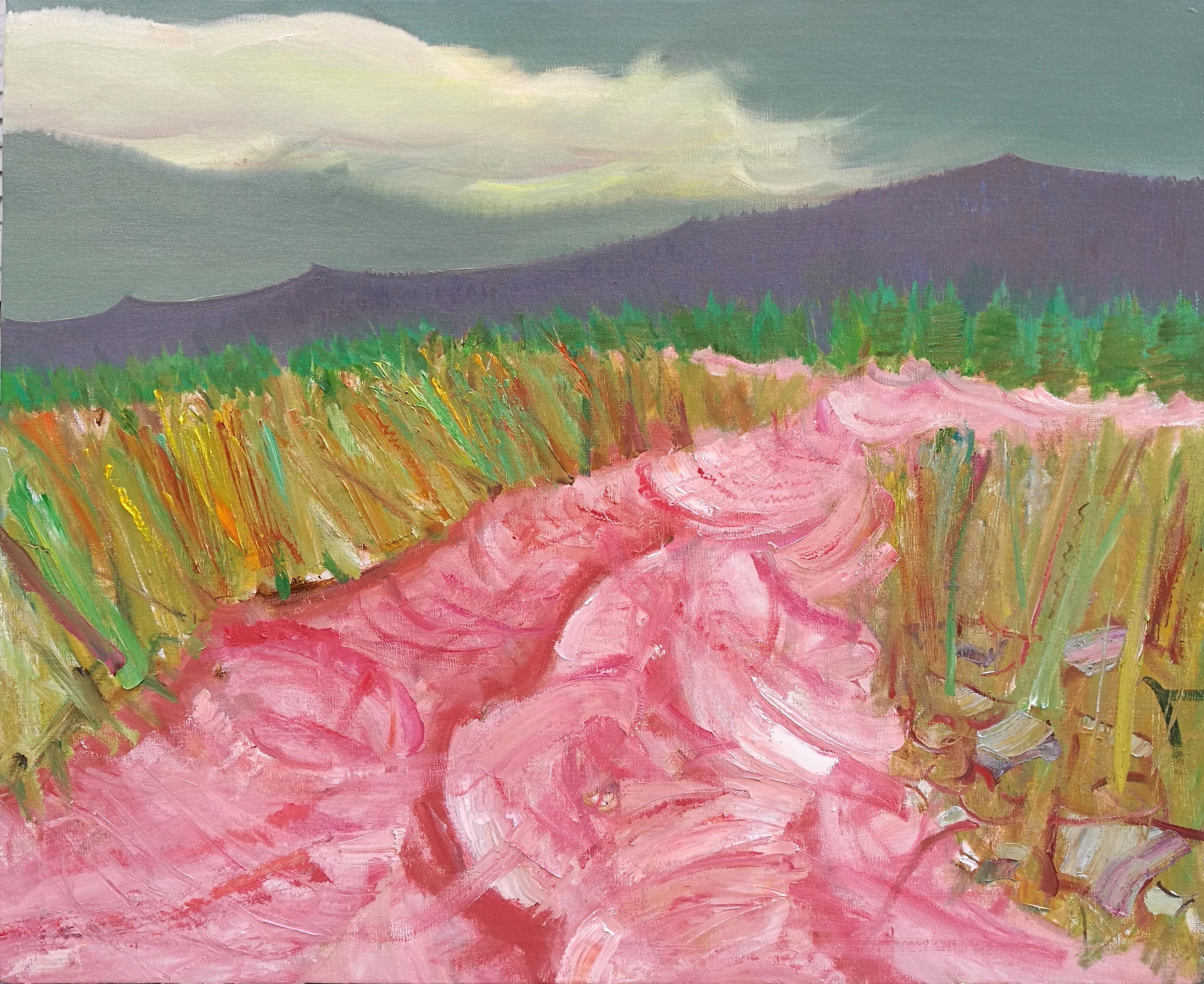 时识晚司9,深度解析背后的故事与启示,时识晚司9,深度探索背后的故事与启示