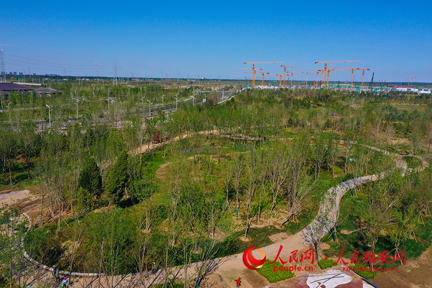 关于98湾0参淀指的SEO文章,揭秘98湾0参淀,专业SEO优化攻略