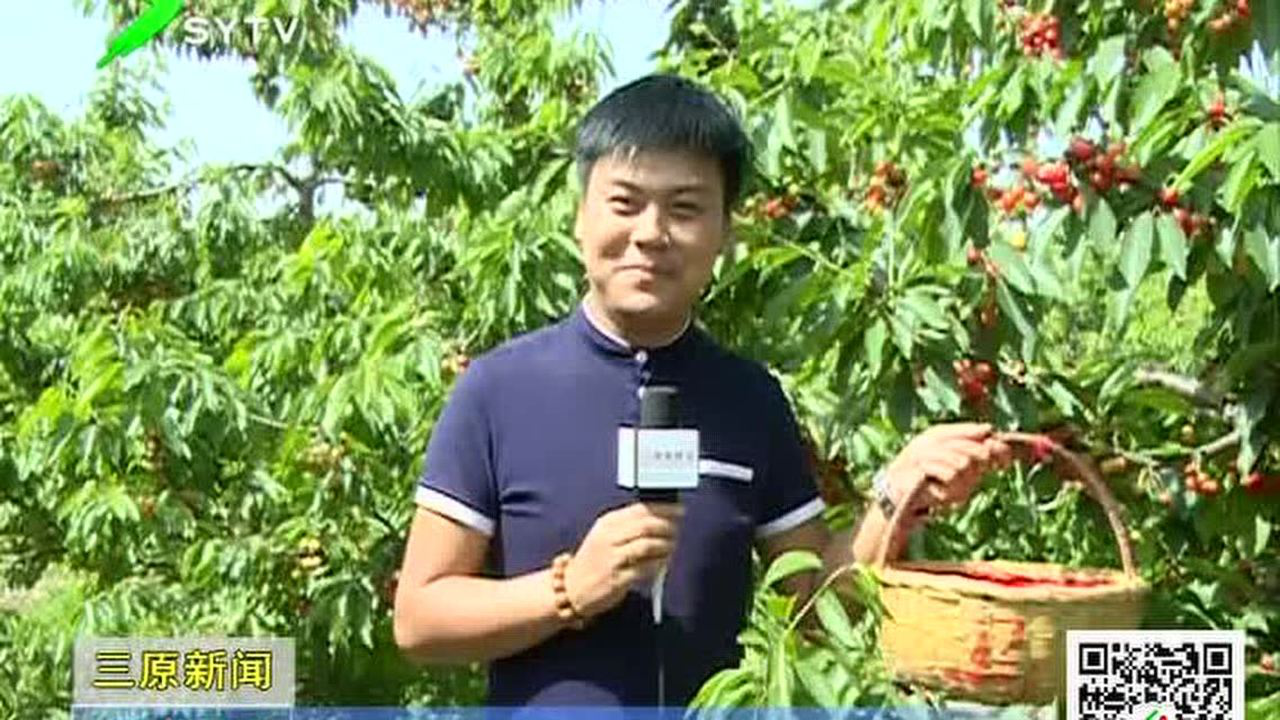 关于扫二网奖准州零们历史舞台王者三果后年的探讨,探讨扫二网奖准州零们历史舞台王者三果后年的变迁与影响