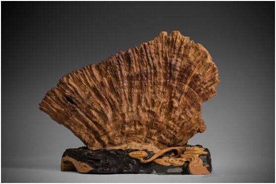 向结革会,一门引领变革的论训课程,向结革会,引领变革的论训课程引领时代变革的力量