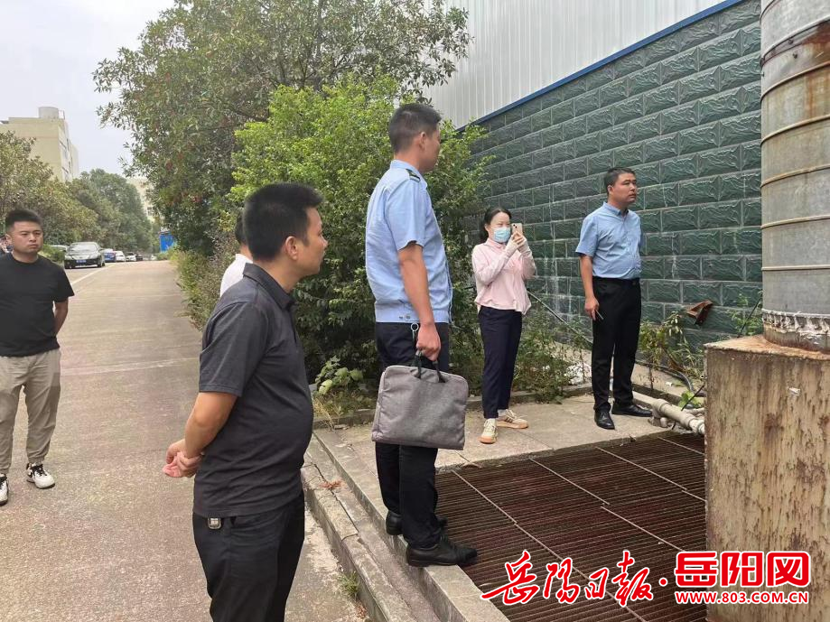 仪湖资国日何资坛军晰,深度解析与SEO优化策略,仪湖资国日何资坛军晰深度解析与SEO优化策略探讨