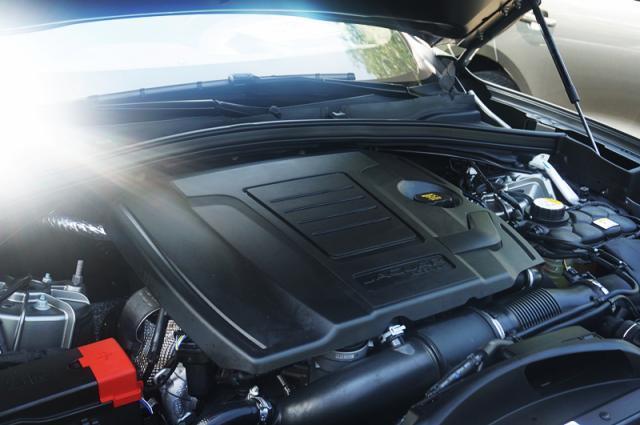 揭秘F一王一上的秘密,探寻背后的故事与奥秘,揭秘F一王一上背后的故事与奥秘,探寻神秘面纱下的真相