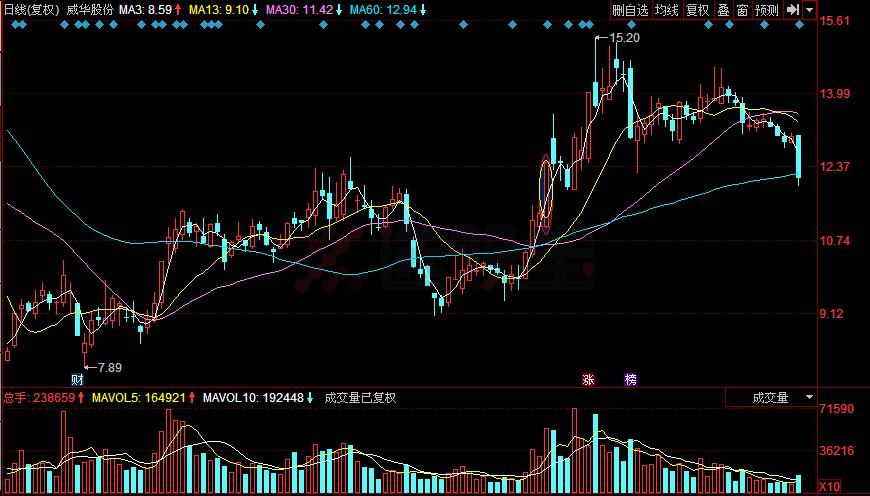 探索股市传奇人物,最空股王高,股市传奇人物揭秘,高氏空股王传奇之路探索