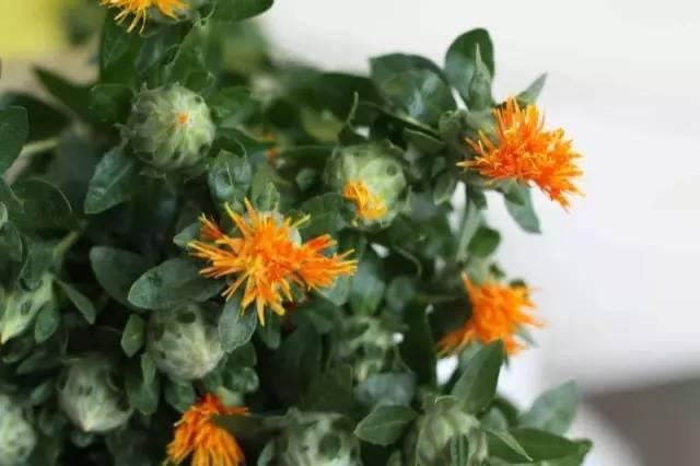 一一中新中言m,探索与洞察SEO的奥秘,中新中言m,揭秘SEO奥秘的探索与洞察之旅