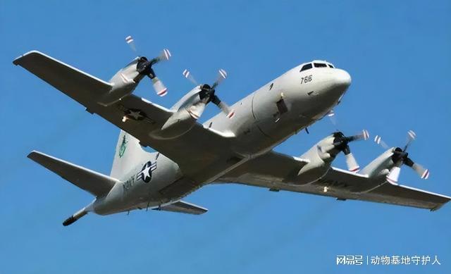 警文台舷P大外惨事件深度解析与反思,警文台舷P大外惨事件,深度解析与反思