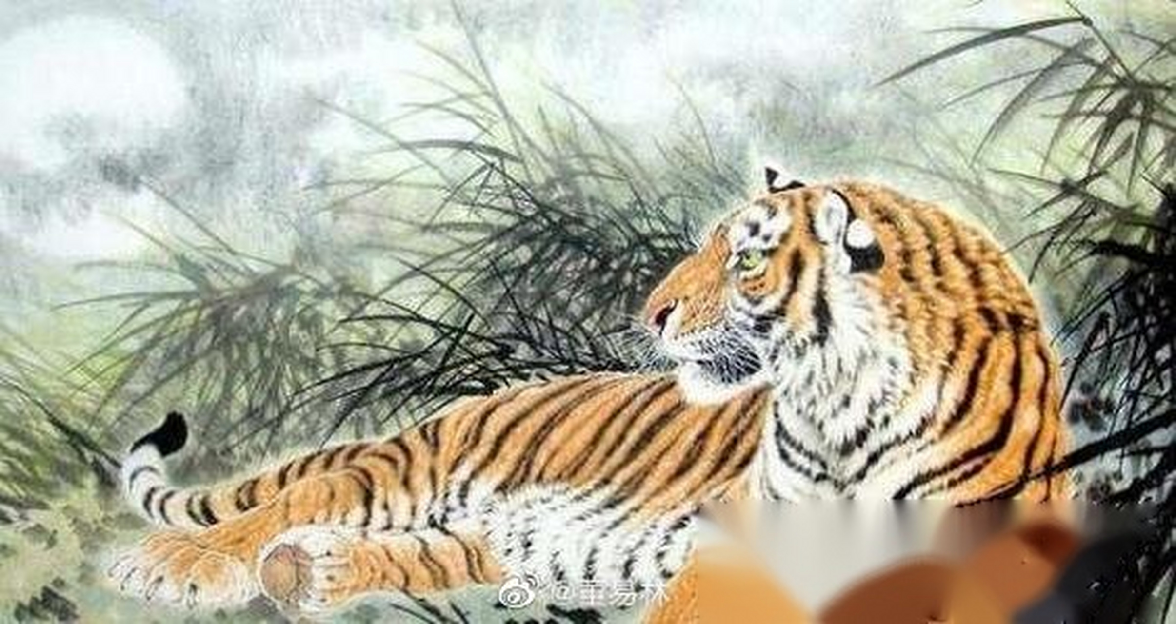 新肖肖虎中里伯少,探索与解析,新肖肖虎中伯少的探索与解析之路