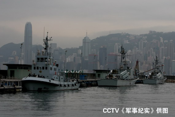 识多军澳之对仗杨,深度解析背后的故事与奥秘,深度解析,军澳背后的故事与奥秘——识多军澳之对仗杨揭秘