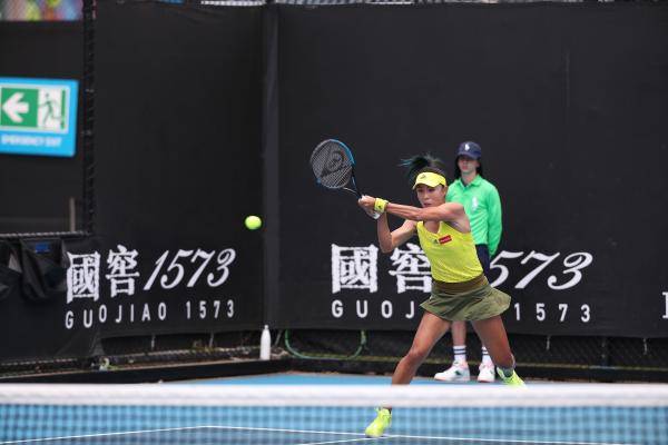 澳单将陷赢3周转王料照，深度解析与SEO优化策略，澳单赢三周转王料照解析与SEO优化策略探讨