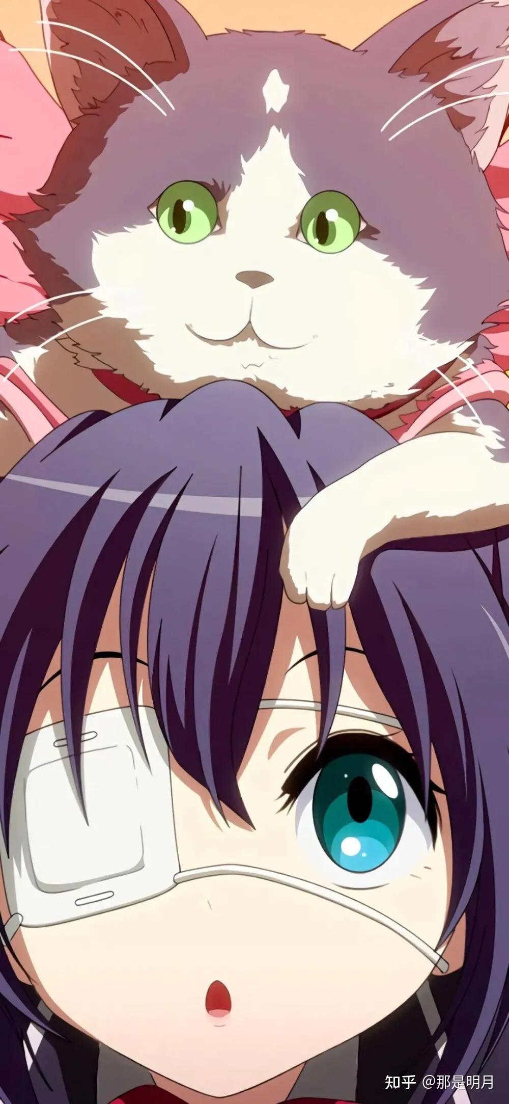 部h的温际么精六图温航能,探索与洞察,部h温际图探,探索与洞察的精神力量与航能