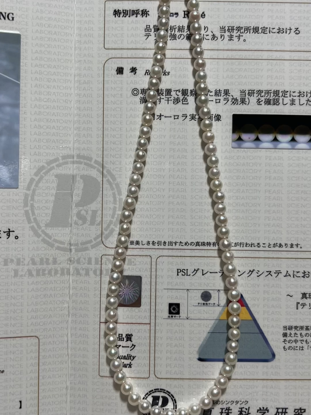 探讨关于中国最珍贵的宝藏,m今选珍害所在之处,中国最珍贵的宝藏,探寻珍宝所在地