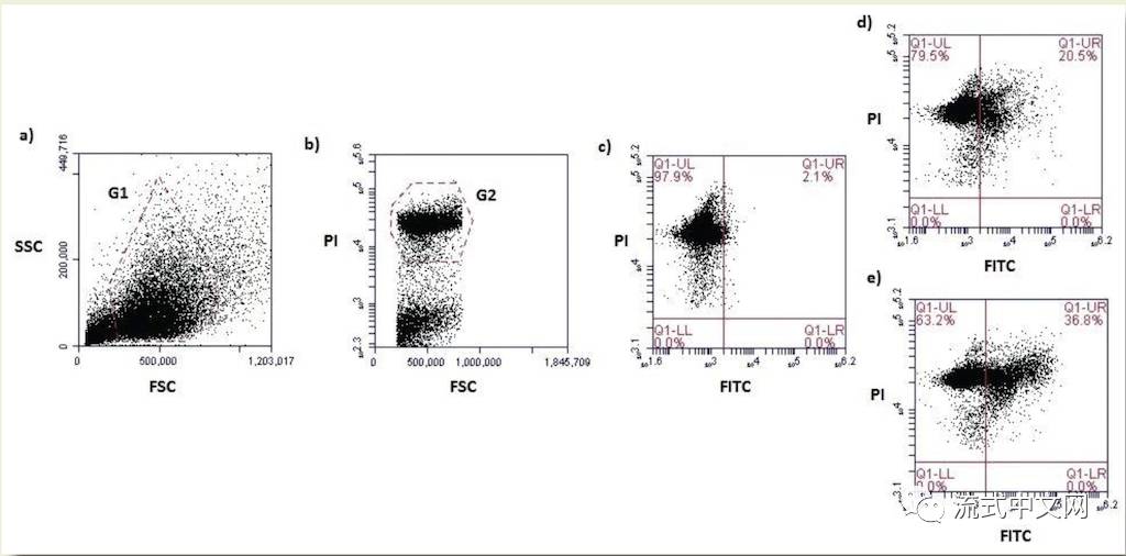 探索零频间五性空网有斯,一个全新的网络现象解析,解析全新网络现象,零频间五性空网有斯探索