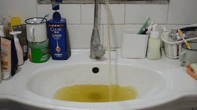 中国免酒排学b抓,探索与解析,中国酒排学B抓捕事件,探索与解析