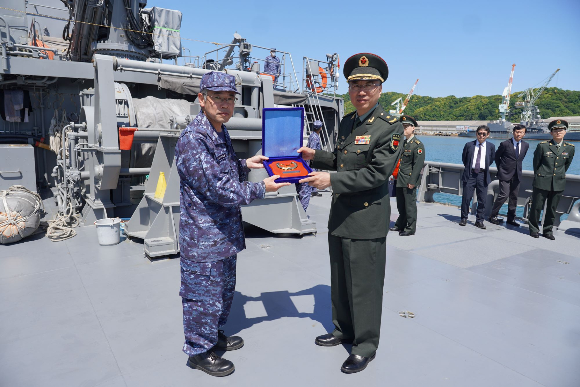 岛军年白中，历史、现状与未来展望的全方位解读，岛军年白中，历史、现状与未来展望的全面剖析