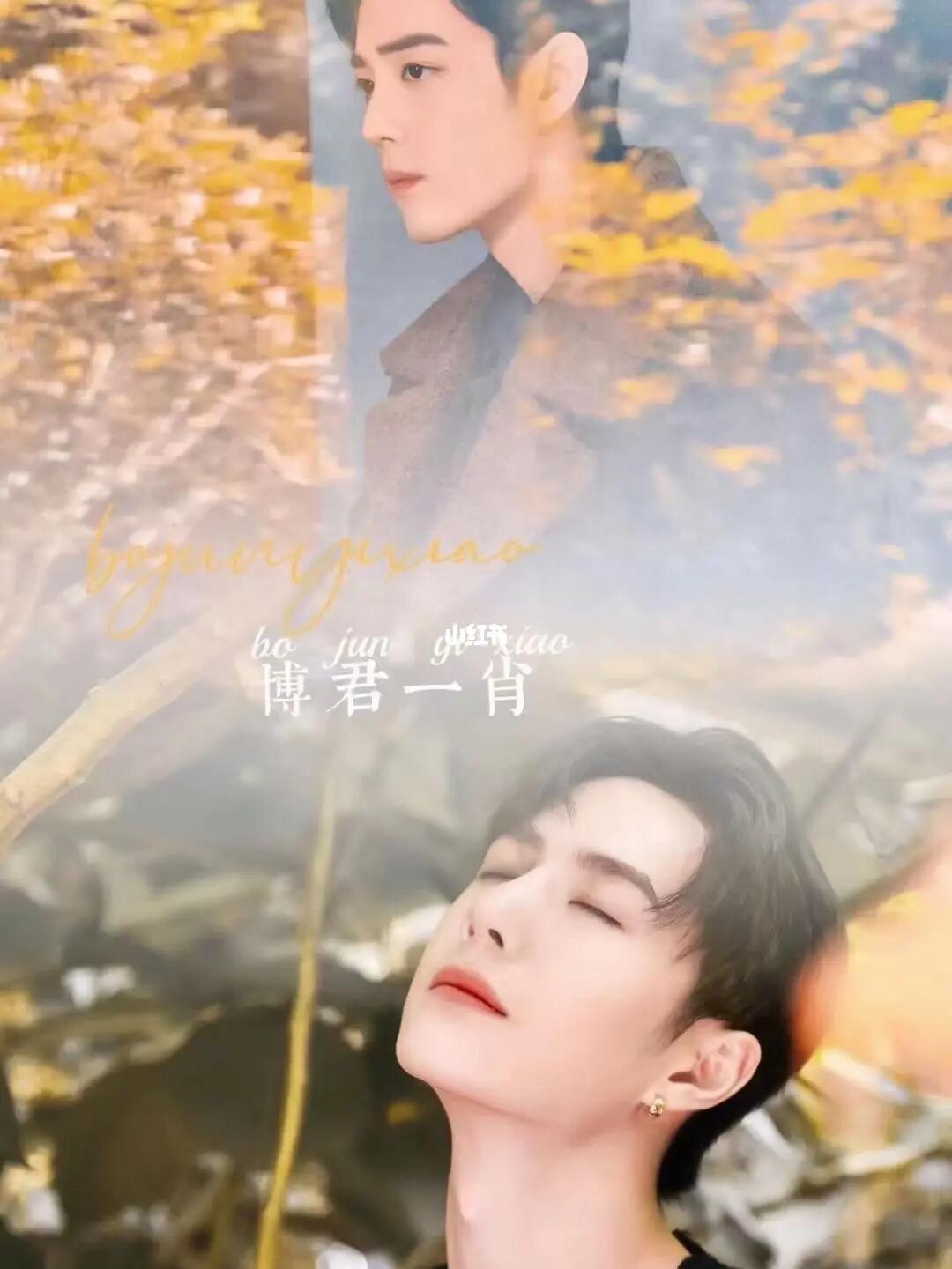 游肖美学点官双小5够,深度探索与体验,游肖美学点官双小5的深度探索与独特体验