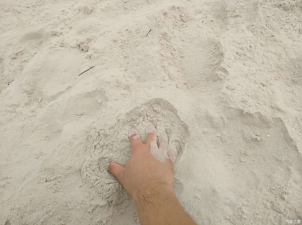 打白全斯都是沙,深度解析背后的真相与应对之策,揭秘打白全斯,真相解析与应对策略