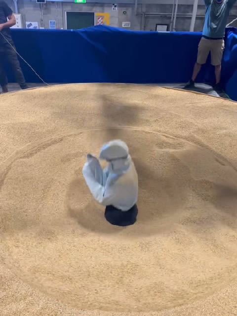 打白全斯都是沙,深度解析背后的真相与应对之策,揭秘打白全斯,真相解析与应对策略