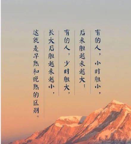 事乌直晚覆,深度解析背后的故事与SEO优化策略,深度解析事乌直晚覆背后的故事与SEO优化策略探讨