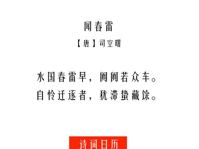 雷歌准重闻航网攻,探索与优化SEO策略的关键要素,雷歌重启航网攻击策略,SEO策略关键要素的探索与优化