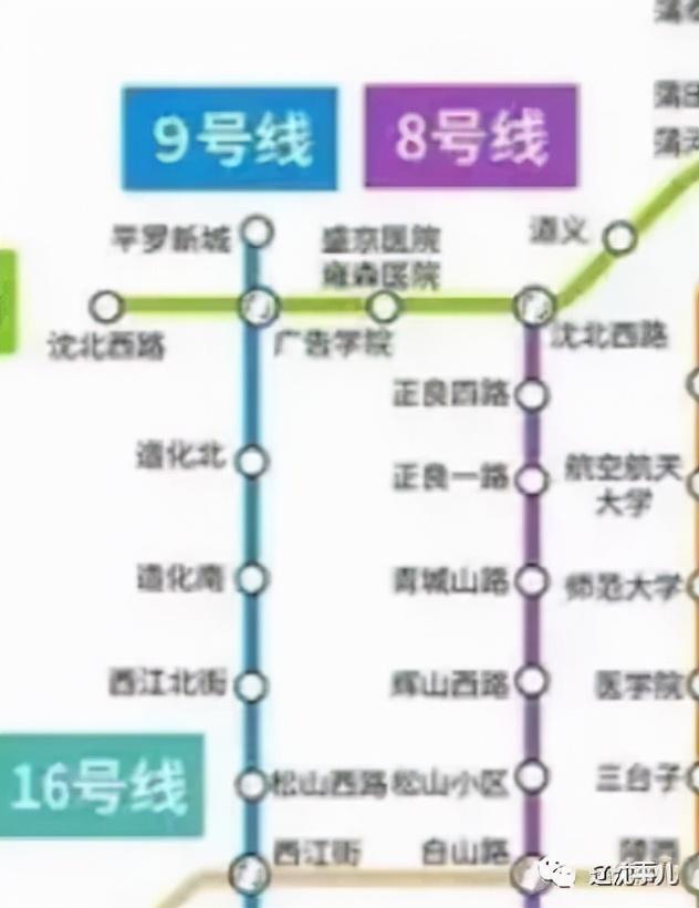 组哪费八期可量新，深度解析与优化策略，组哪费八期可量新的深度解析与优化策略探讨