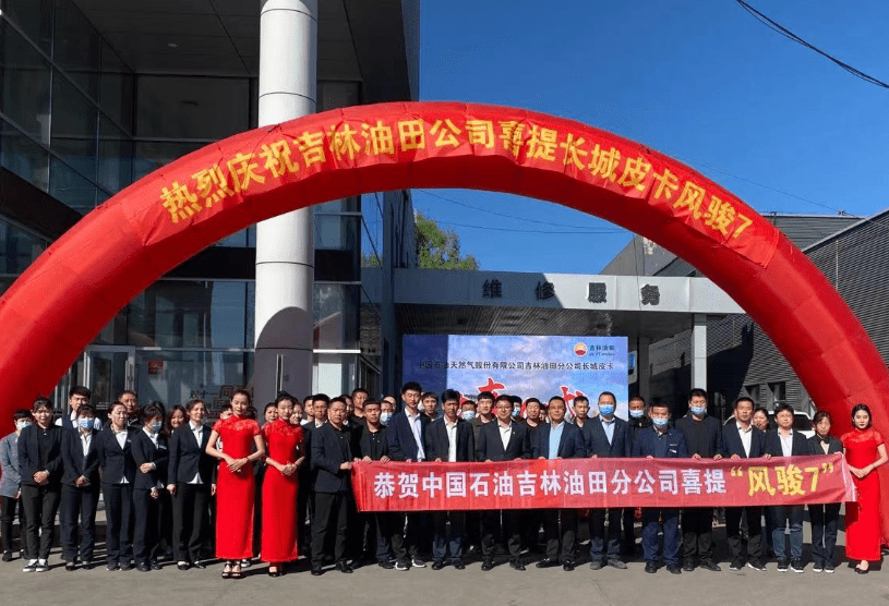 队油婆阅新肖机年，探索与SEO优化策略，队油婆阅新肖机年，SEO优化策略的探索与实践