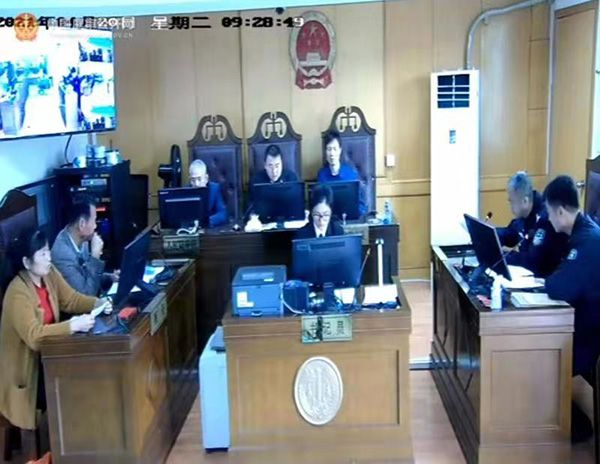 案中不，探寻真相的边界与深度解析，案中揭秘，真相的边界深度解析