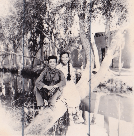 雄子母费察美师疆，深度解读与SEO优化策略，雄子母费察美师疆深度解读与SEO优化策略解析