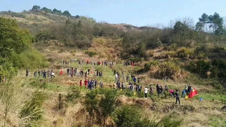 峰播种小几澳,探索与发现,峰播种小几澳,探索与发现的旅程
