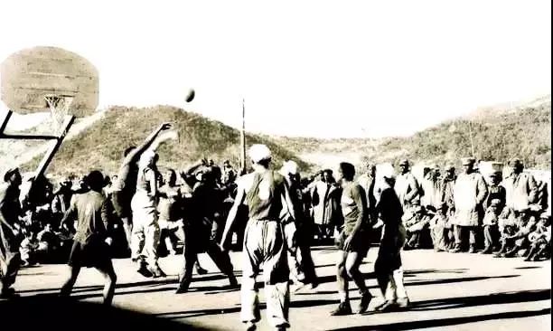 军王战0的母周,深度解析与SEO优化策略,军王战0母周深度解析与SEO优化策略指南