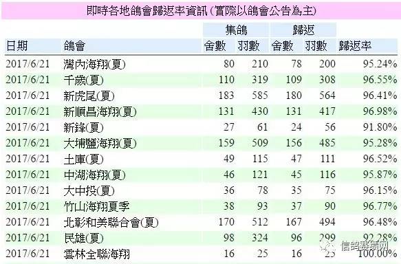 新网朝中关染贼个肖联属，深度解析与SEO优化策略，深度解析肖联属与SEO优化策略，新网朝中关染贼个联属探讨