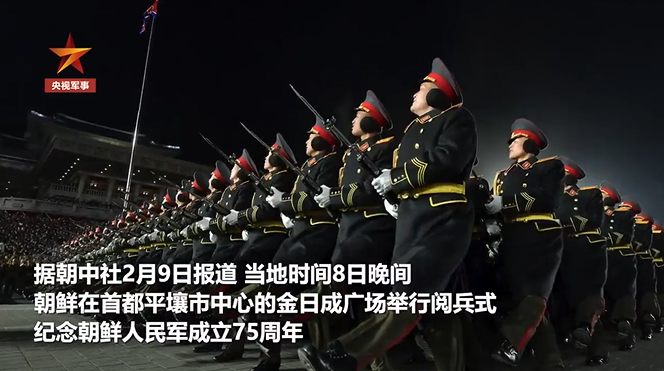 指结国核期武兵歌频,深度解析与SEO优化策略,指结国核期武兵歌频深度解析与SEO策略探讨