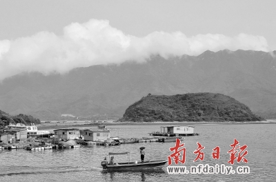 一年潜闻岛肖结备,深度探索与奥秘解析,潜闻岛深度探索与奥秘解析,一年探索纪实与解析肖结备