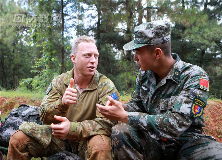 中耳一澳军芳视台片中军,深度解析与探索,澳军在中耳一军视台片中的深度解析与探索